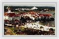  1  Disney's Grand Floridian Resort & Spa