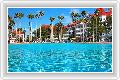  2  Disney's Grand Floridian Resort & Spa