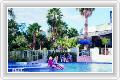  4  Best Western Lake Buena Vista Resort