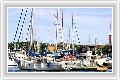  5  Residence Inn Boston Harbor Tudor Wharf